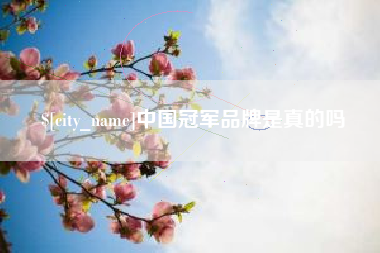 伊川中国冠军品牌是真的吗