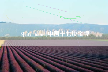 伊川中国十七块金牌