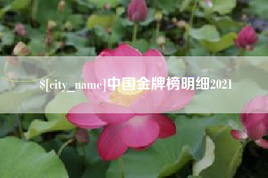 伊川中国金牌榜明细2021