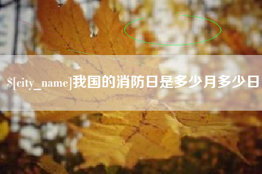 伊川我国的消防日是多少月多少日