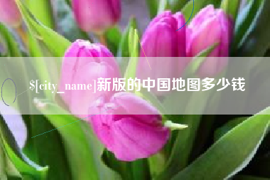 伊川新版的中国地图多少钱