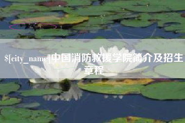 伊川中国消防救援学院简介及招生章程