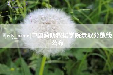伊川中国消防救援学院录取分数线公布