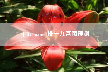 伊川排三九宫图预测