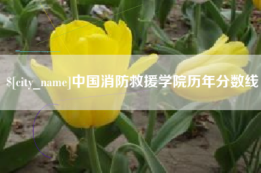 伊川中国消防救援学院历年分数线