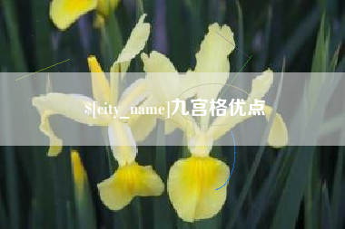 伊川九宫格优点