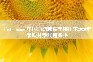 伊川中国消防救援学院山东2020年录取分数线是多少