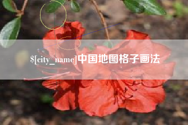 伊川中国地图格子画法