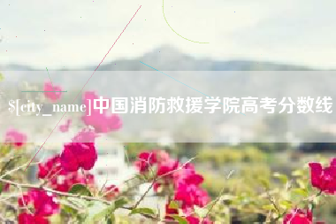 伊川中国消防救援学院高考分数线
