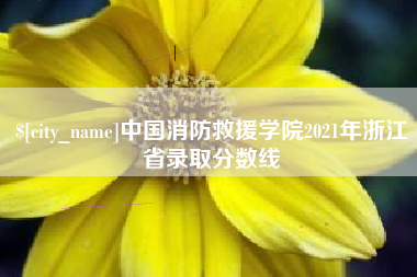 伊川中国消防救援学院2021年浙江省录取分数线