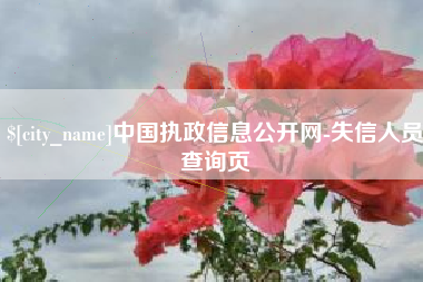 伊川中国执政信息公开网-失信人员查询页