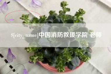 伊川中国消防救援学院 老师