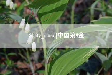伊川中国第9金