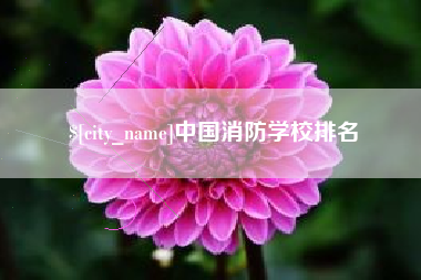 伊川中国消防学校排名