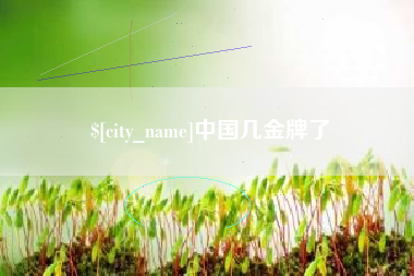 伊川中国几金牌了