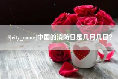伊川中国的消防日是几月几日？