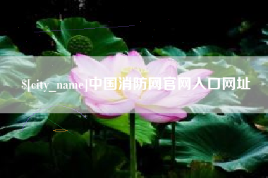 伊川中国消防网官网入口网址