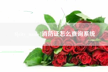 伊川消防证怎么查询系统