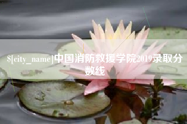 伊川中国消防救援学院2019录取分数线