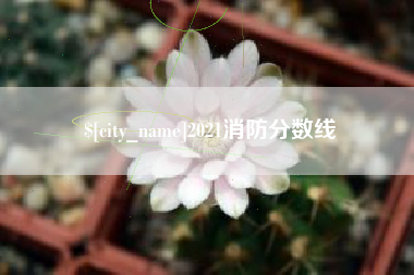 伊川2021消防分数线