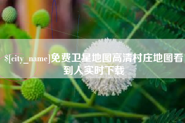 伊川免费卫星地图高清村庄地图看到人实时下载