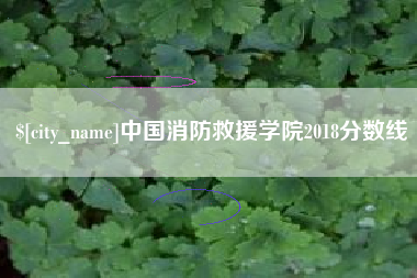 伊川中国消防救援学院2018分数线