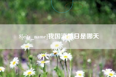 伊川我国消防日是哪天