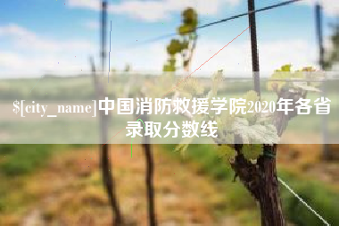 伊川中国消防救援学院2020年各省录取分数线
