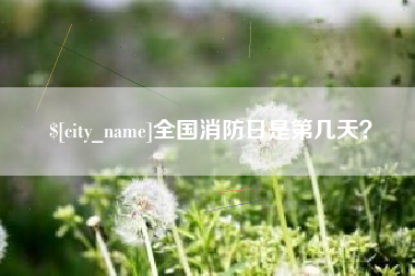 伊川全国消防日是第几天？