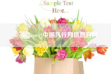 伊川中国执行网信息官网