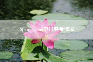 伊川中国夺金情况