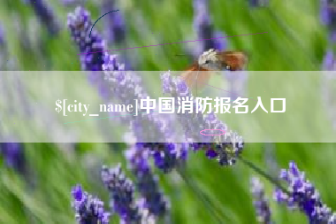 伊川中国消防报名入口