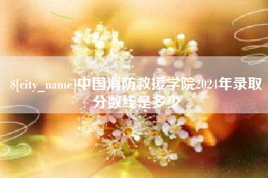 伊川中国消防救援学院2024年录取分数线是多少