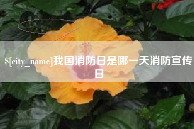 伊川我国消防日是哪一天消防宣传日
