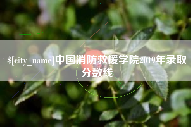 伊川中国消防救援学院2019年录取分数线