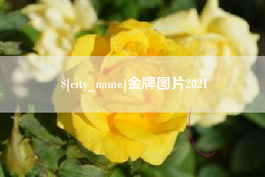 伊川金牌图片2021