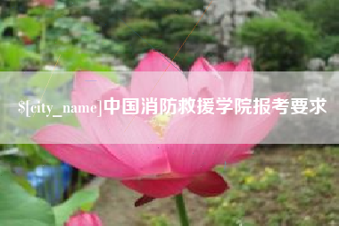 伊川中国消防救援学院报考要求