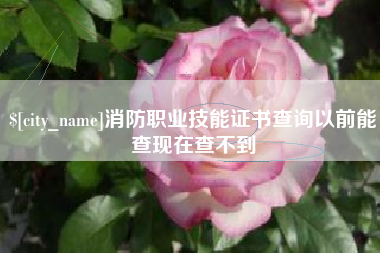 伊川消防职业技能证书查询以前能查现在查不到