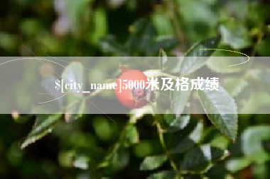 伊川5000米及格成绩