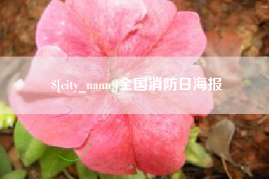 伊川全国消防日海报