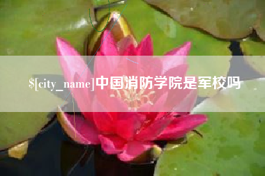 伊川中国消防学院是军校吗