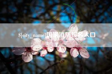 伊川国家消防报名入口