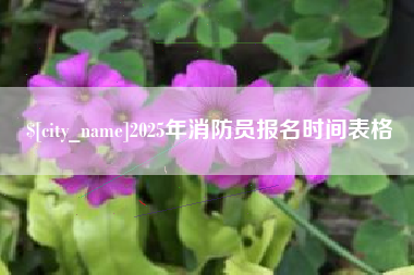 伊川2025年消防员报名时间表格