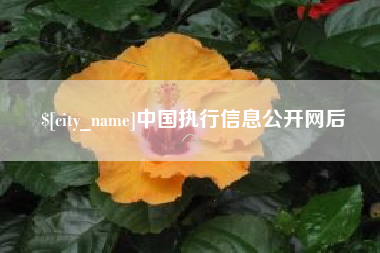伊川中国执行信息公开网后