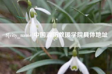 伊川中国消防救援学院具体地址