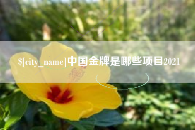 伊川中国金牌是哪些项目2021