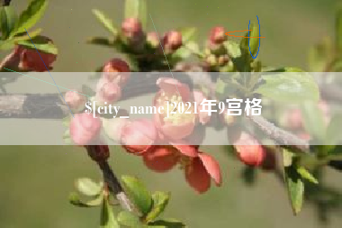 伊川2021年9宫格