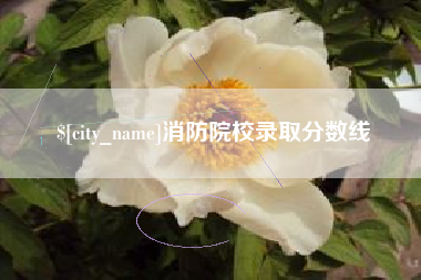伊川消防院校录取分数线