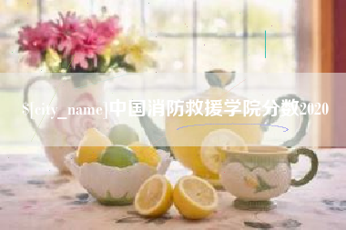 伊川中国消防救援学院分数2020