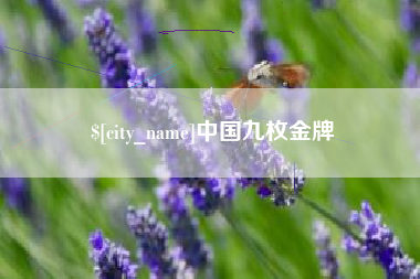 伊川中国九枚金牌